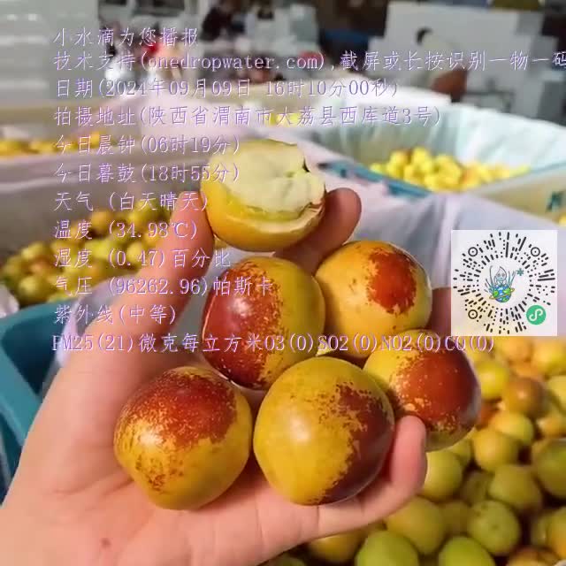 FnCHYxE-Airr8MnfGNNp_iSp8EPomp4