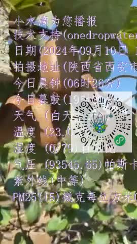 FiCAg-C20t2NDWoZKolZVnNJ00Hcmp4