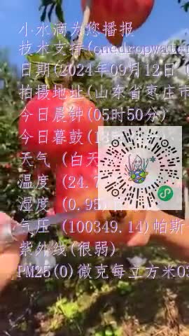 Fo6dlMdXIdz7mnhjfjmbB2xwSaWhmp4