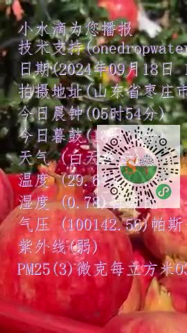 FuyMufmVH_77oKCXioTB1TSwQlMfmp4
