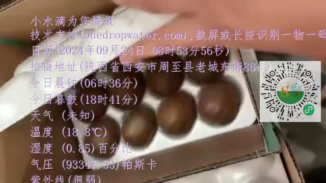 Fuzzrase2kV2PdRwphpIoovlwC9Nmp4