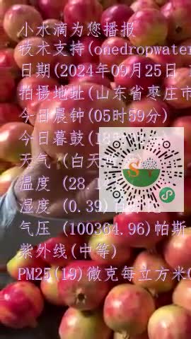 FmUgv0Q158ZSGxurmnbDSduHlsa1mp4