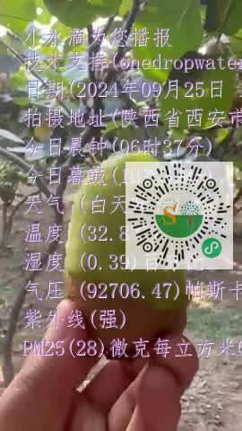 FqeV5wHbIu_V_mClwjVSJ7NDRC1Zmp4