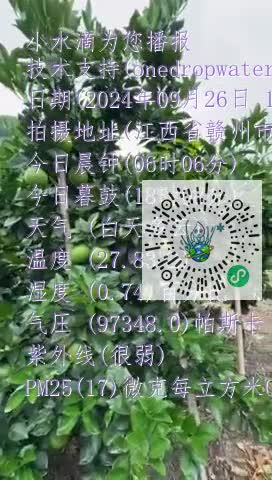 FpnX0Nih7dR6npOw5Gjk_cyyyFvump4