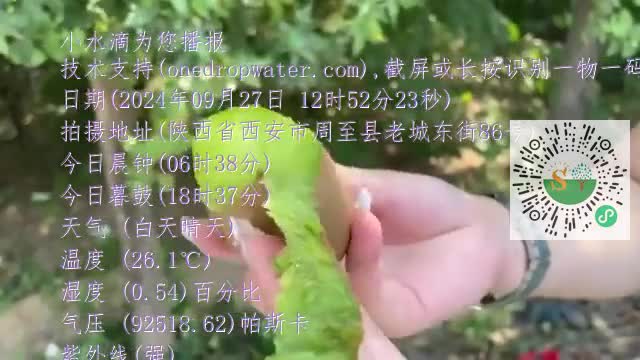 FougDFg37L0JrtQmlQGNgk4Nm5uTmp4