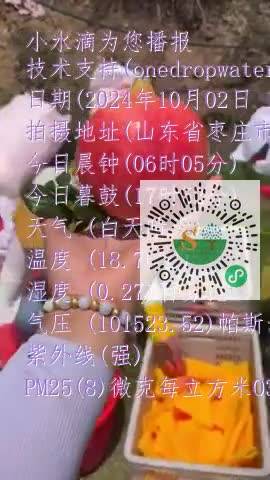 FgpxfZlXpyxZ0e8RtSZ1x3DBg6Oamp4