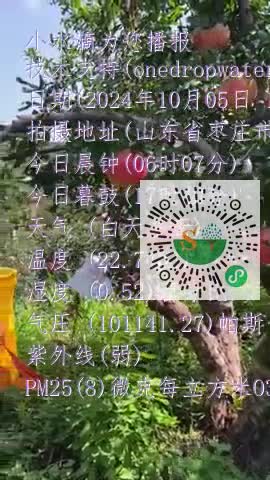 FvMWRLlCeeE0Wznq9AEA9hWNWffRmp4