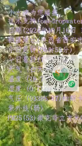 FikNAUEAs6NTDF7fnfUfH0MMKx1Pmp4