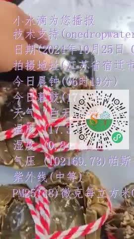 FlSytEYnnxvzIlbp1jXmue0ha4a6mp4