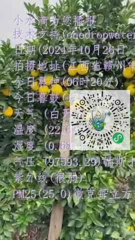 FgKwOF8VJ-PmYDX33cl3tH9sgIRTmp4