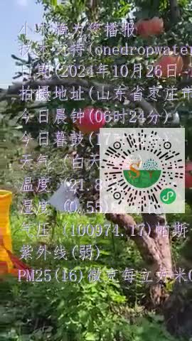 Ft4pqYk8WZ1KaCc_O3ApmCmapxwmmp4