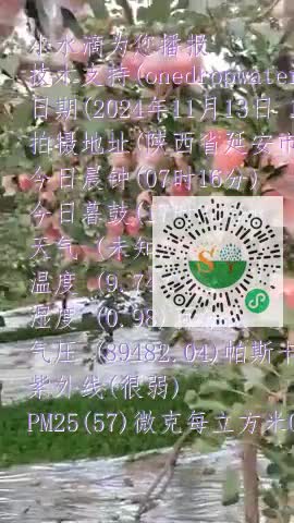 FoIcmP-kuLlo9wfeETVFUMGClaylmp4
