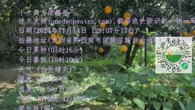 lmTAxdYkmdmyotePPox2Dunsa8P5mp4