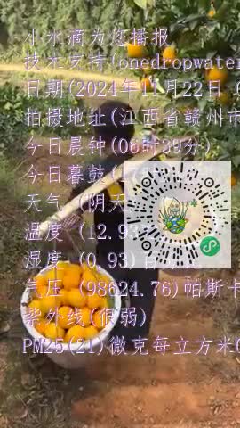 Fln2qhFaRg7edpNepoZy6vT9Bim-mp4