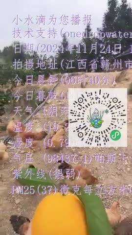 FsqqggJciHlbqcFibOC3dRwMP1b3mp4