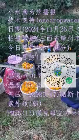 ljCmF3y0OANecPV6RatGwyyagnz2mp4