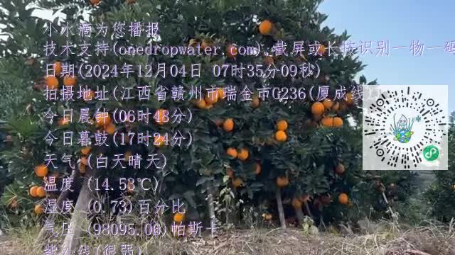 FgZNvsmp9JkTq5_Xjuv_nXSRUY6Pmp4