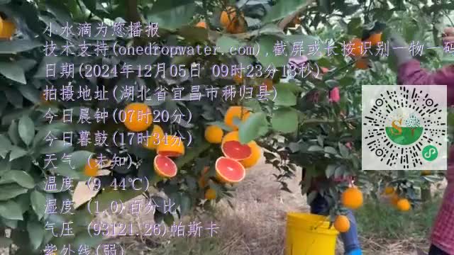 Ft5JllcoXScCItaH1S1C2W0koyhxmp4