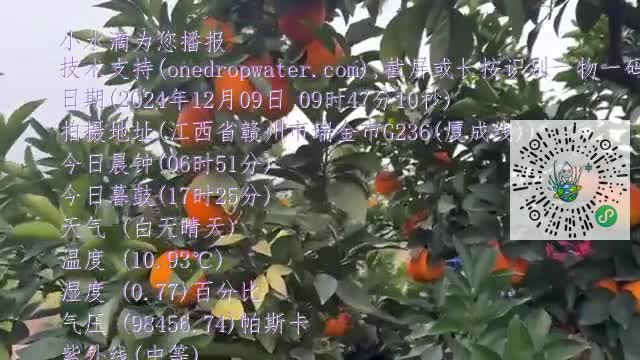 FnRhYLtrbERUHn-wyMHgz8hucI9cmp4