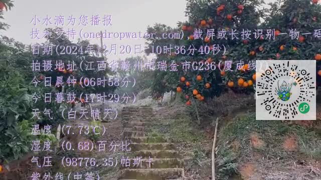 Frc8tqftXlyWymQqV0hTl7Dehhcymp4