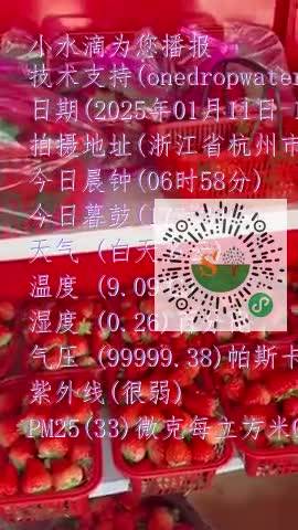 FpTQtZDRwcGp0vTrMDetNGVpyVuump4
