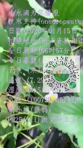 lijM0OBeWIruyOjO4ysYz-DFUe3fmp4