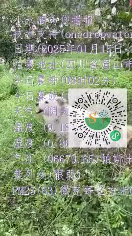 Fr4R_W92wp9OBT3aNIaE75ugFO2Amp4
