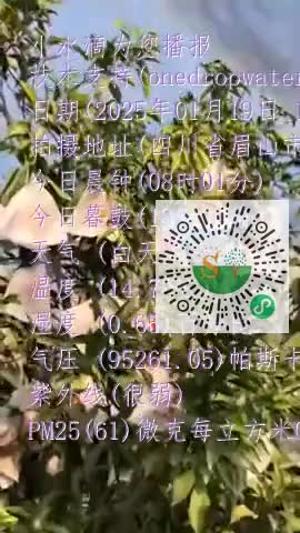 Fvpfy3cXOF2XuE2ZmHIKRmEScmSBmp4