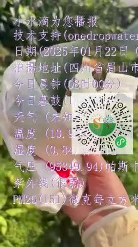 FnsWeaDfTDGXHvfffbJE_H5pbFB1mp4