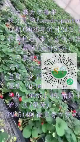 llJSR_qLo5rb-Lw5IlDyOcP3JBnNmp4