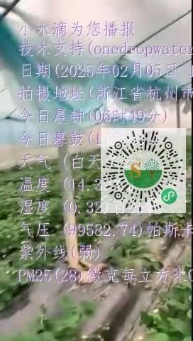 Ft3-TLRWNkhUxRzjt5Gpkz4mxD1amp4