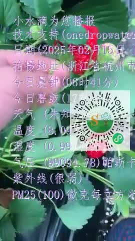 lpYjqs4rIdBOwIuDfHh_AICJ0Ii1mp4