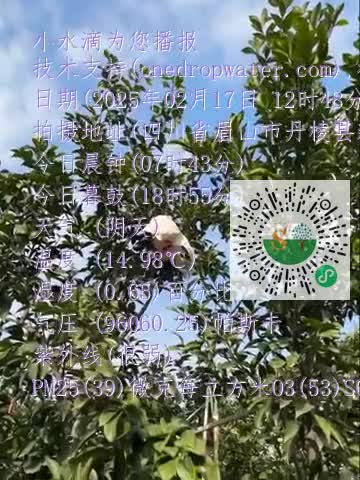 FhATQ7VxZO34JYFdd3EiHUt7pNjEmp4