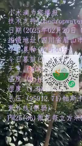 FncYoq0JZF8kTNuaufD0jy6GYII9mp4
