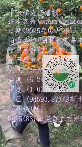Fi63cR0wfpeB6nb7JPbewo6IDkMImp4