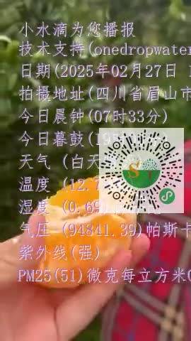 FtO25b6YMHz4POV78MJ8fP5eQn7Smp4