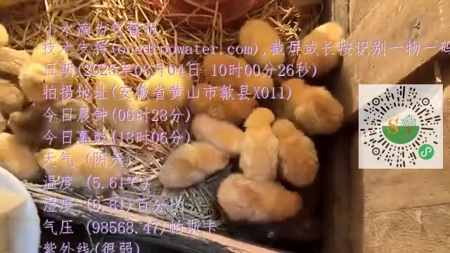 lt1P-V5wZoGxZqpgPu2qUeBytpSJmp4