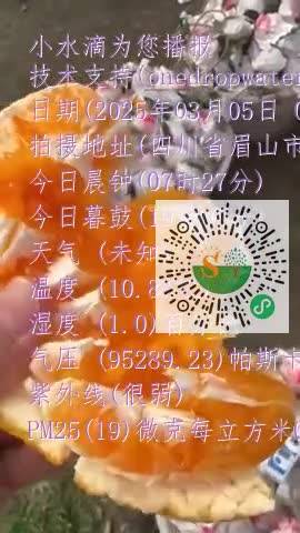 Ft22l-J6thwg7Ih54An6pvexSTiMmp4