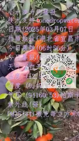 FoqmKYdVfIx3LGHtMoOjb_4E15Iomp4