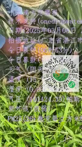 lh-R3QHgAK99Whk6g4YwtpEyzLV2mp4
