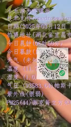 FpKItcg_iQo8ZBlu8hUtmHk2A8Itmp4