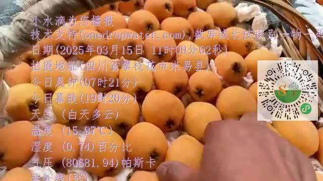 ljfjXY_vO8-zz9phES7_2OSaYuGemp4