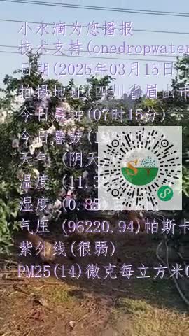 Fv1Y2jxXiHwzV4Nal70ZO5lA5UiJmp4