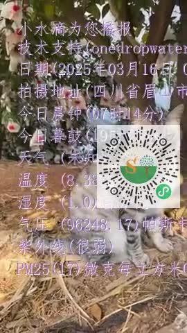 Fk4Z_P2C1QGZypYA18OJxOAt8ExAmp4