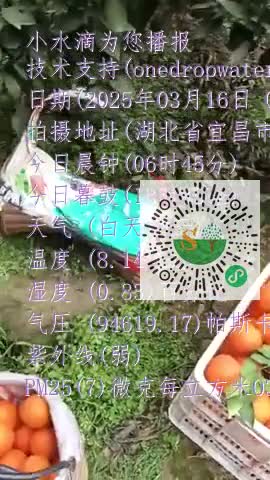 lh5g7IuKifqBgkI3P29eZdGZLpqjmp4