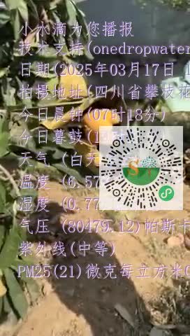 FgR7h1XiZr4FJt6z_0xW9cDgtbOJmp4