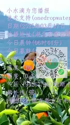 Ft13FmrmzReOxaetDmPFwCUTjl7ymp4