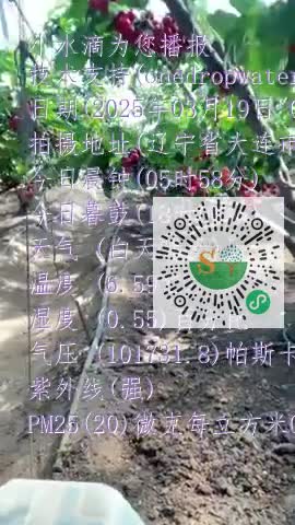 FuajWgJKast88mvMlsqodasIJGBfmp4