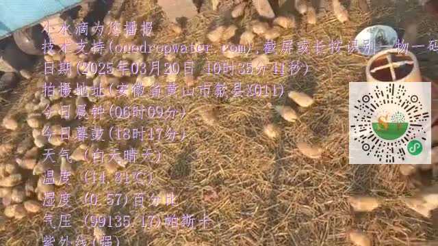 lvlqf5iEWY67PL-LLdByGPvwDupLmp4