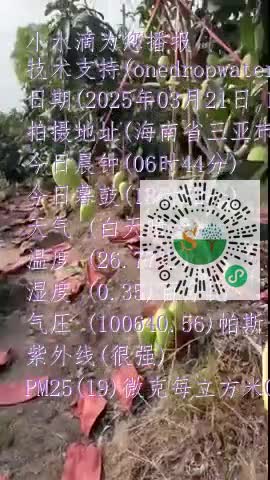 lpmksXW6wY3EfSmiR0Y3mgKsXHNQmp4